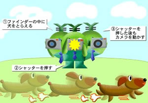 ���ġ������㶯����Ƭ�ķ���