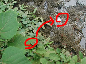 ʹ�������������������Сʱ��ξ۽���(ͼ)